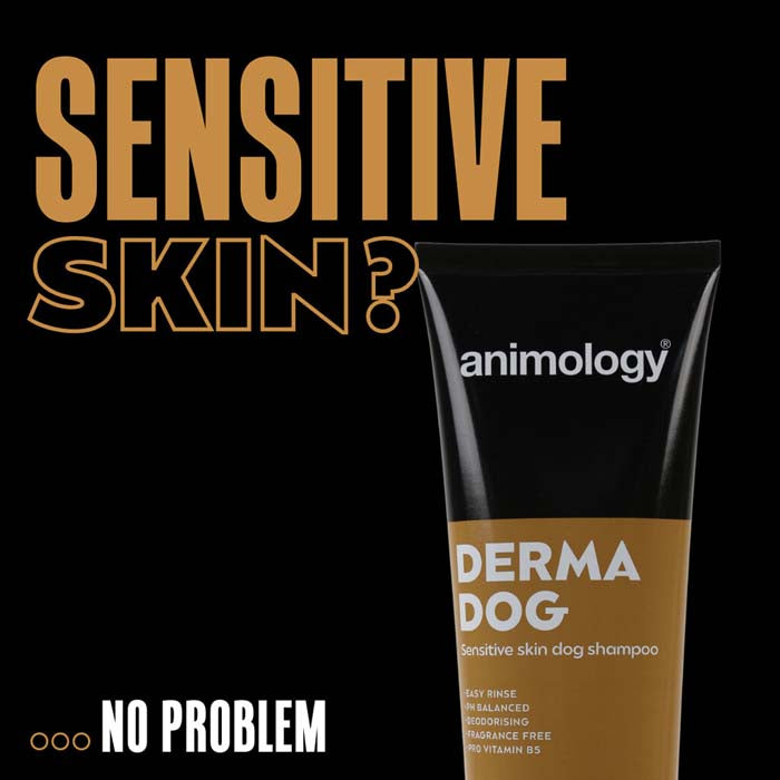 Schampo för känslig hud Derma Dog – Animology - b2c - mera Petfood
