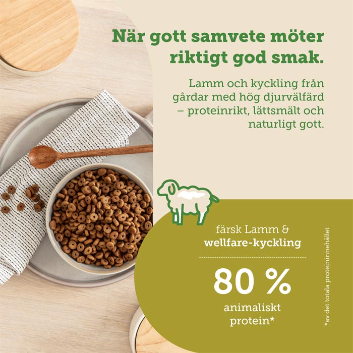 Kattens favoritmix – 4 smaker att upptäcka