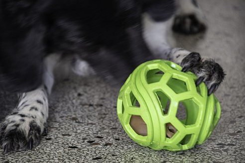 Comets Titan boll - b2c - mera Petfood