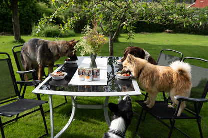 mera pure sensitive Våtfoder Kalkon - mera Petfood