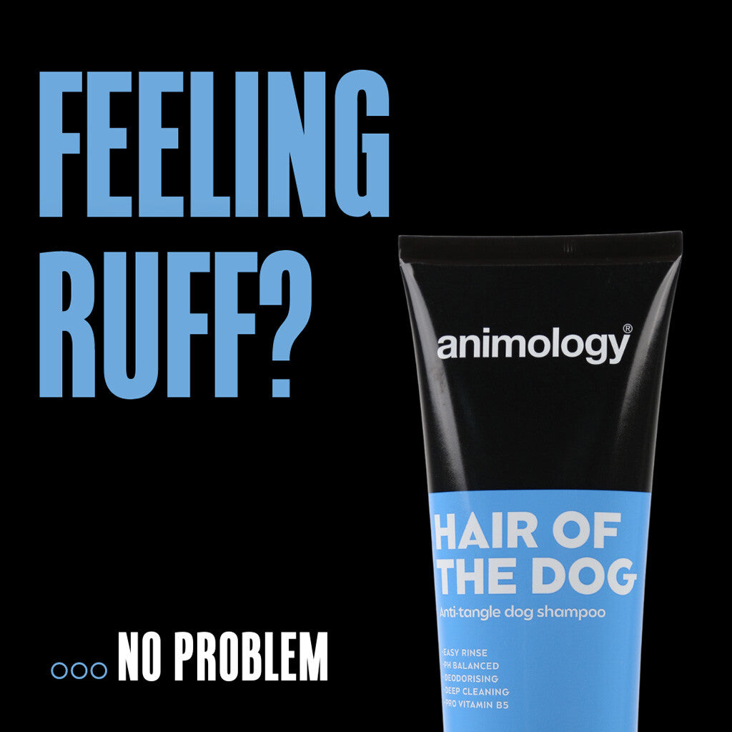 Animology Hair Of The Dog – tovutredande hundschampo - mera Petfood