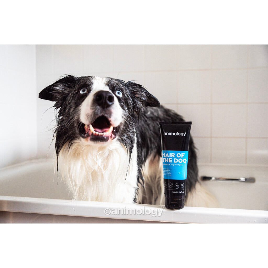 Animology Hair Of The Dog – tovutredande hundschampo - mera Petfood