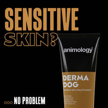 Schampo för känslig hud Derma Dog – Animology - b2c - mera Petfood