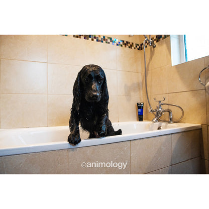 Animology Top Dog Conditioner - Mera Petfood