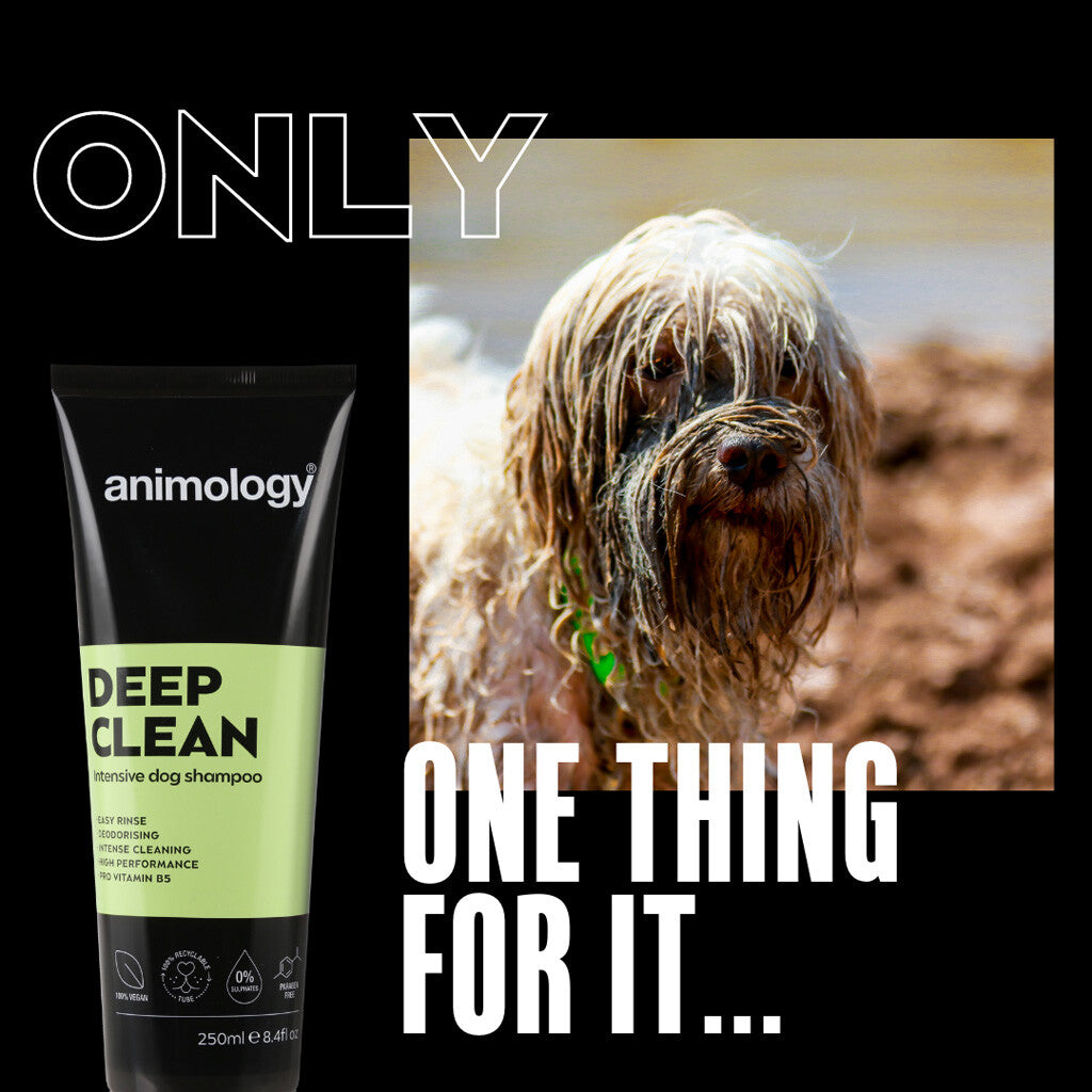 Animology Deep Clean – djuprengörande hundschampo - Mera Petfood