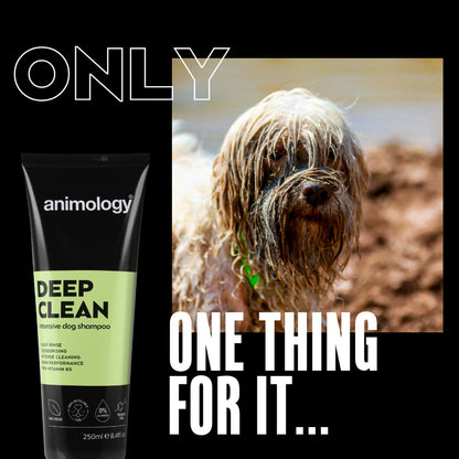 Animology Deep Clean – djuprengörande hundschampo - Mera Petfood