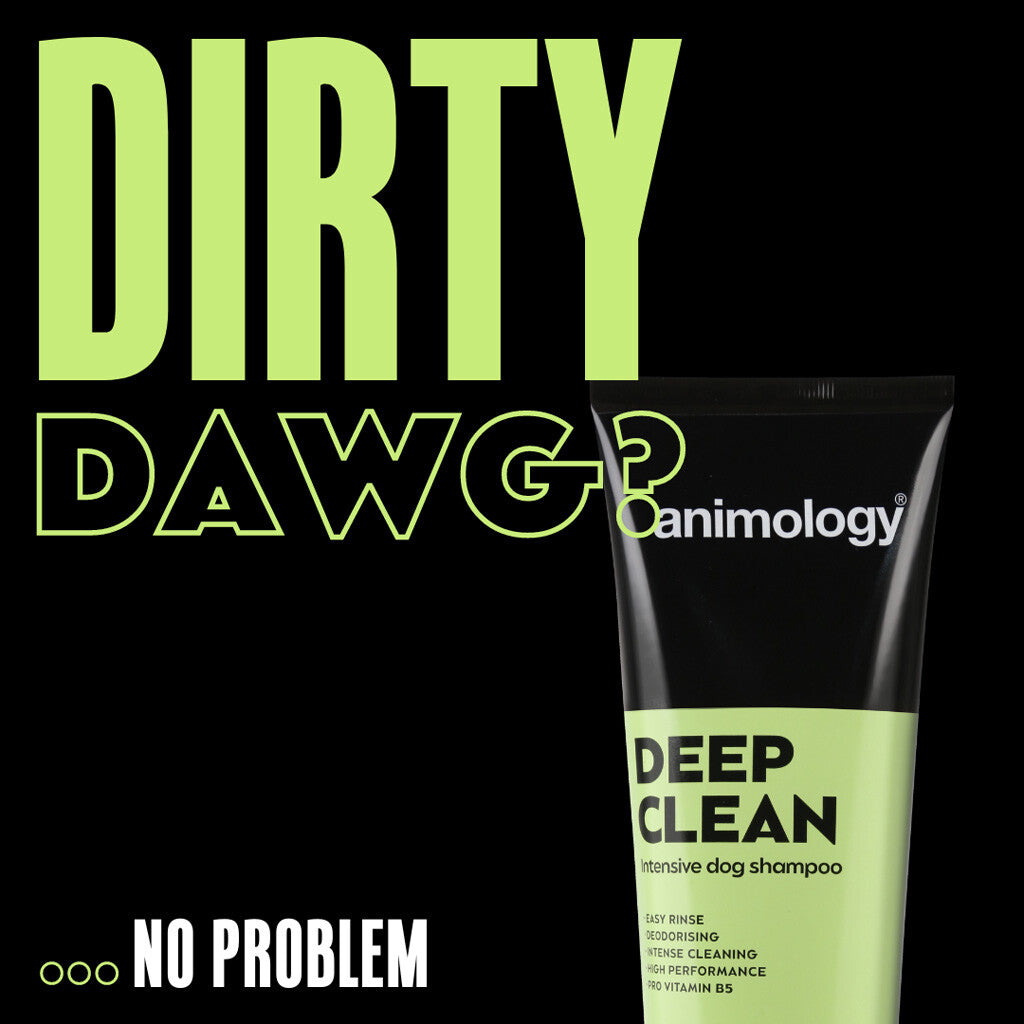Animology Deep Clean – djuprengörande hundschampo - Mera Petfood