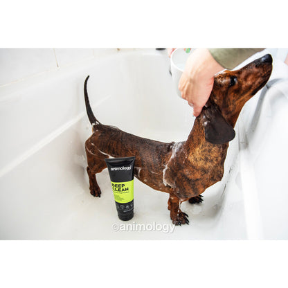 Animology Deep Clean – djuprengörande hundschampo - Mera Petfood