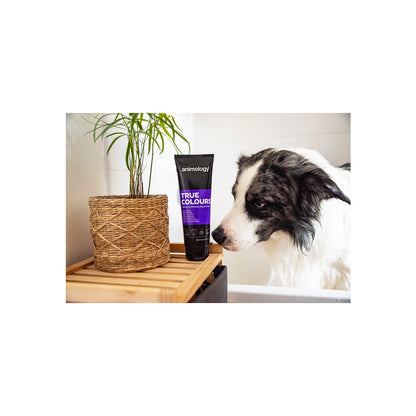 Animology True Colours – färgförstärkande hundschampo - Mera Petfood