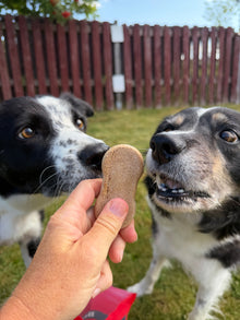Biscuits hundkex - mera Petfood