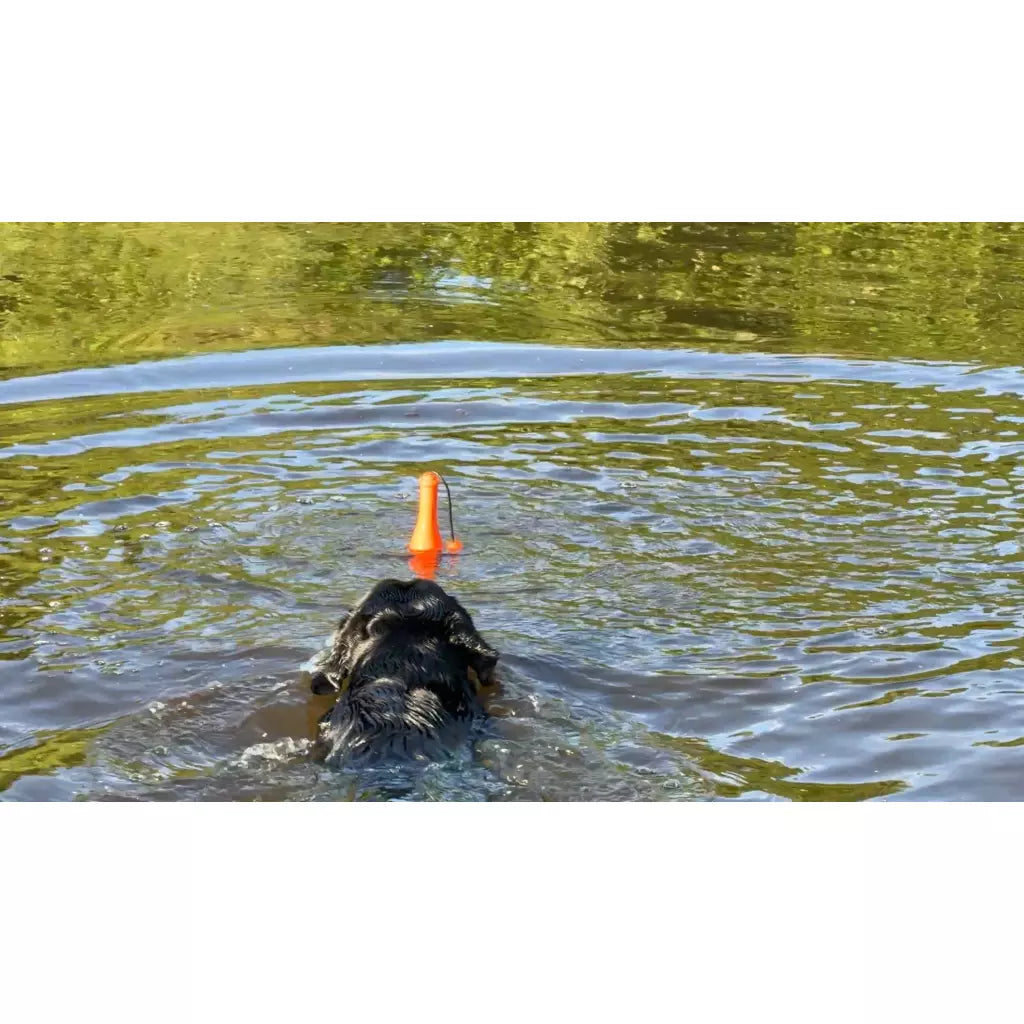 Dog Comets Bobber flytleksak - b2c - mera Petfood