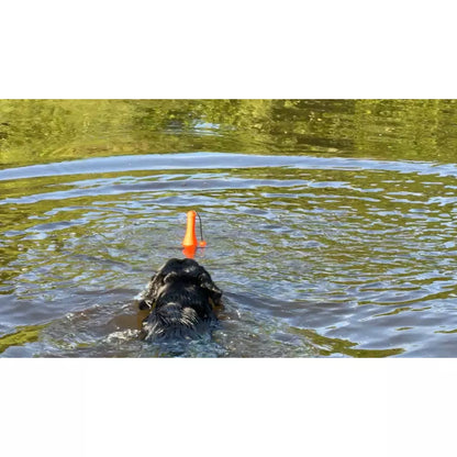 Dog Comets Bobber flytleksak - b2c - mera Petfood