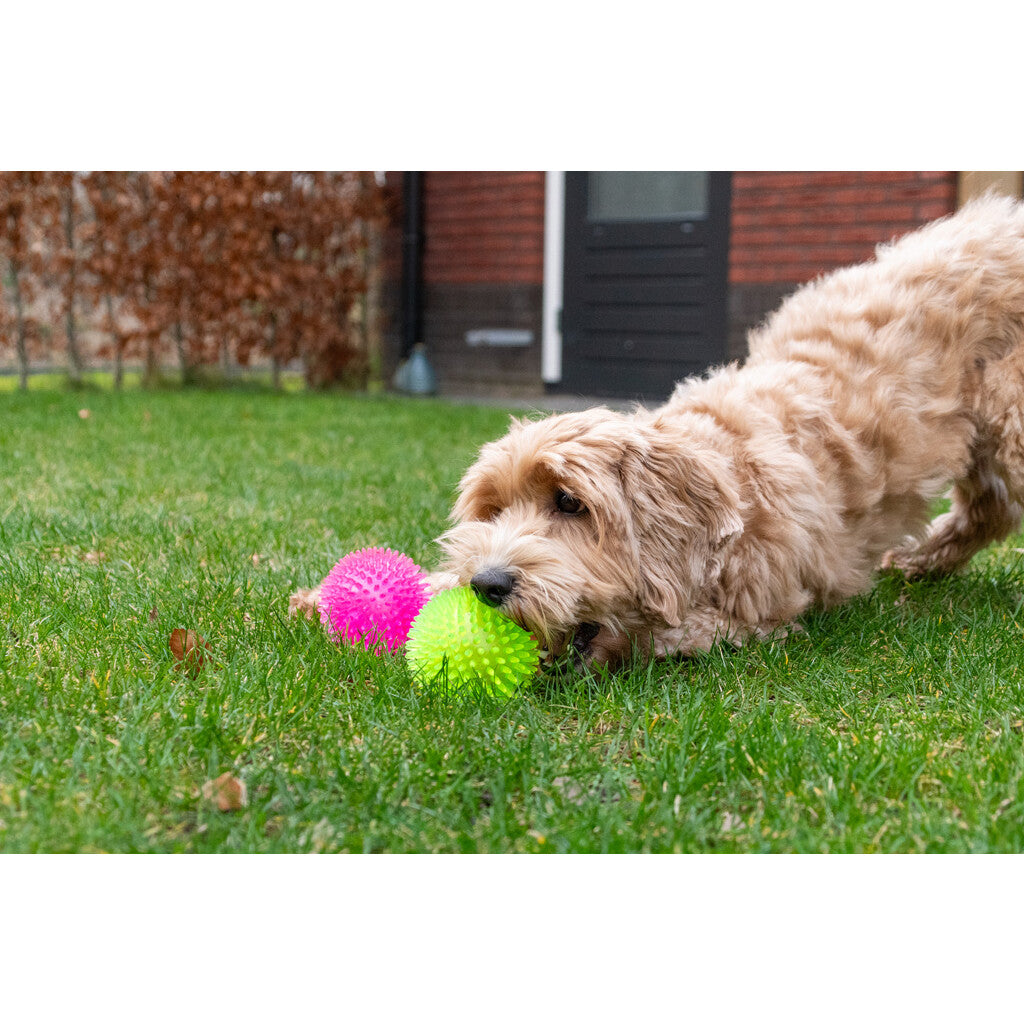 Dog Comets Exoplanet – mjuk boll med piggar & pipljud - Mera Petfood
