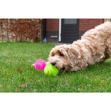 Dog Comets Exoplanet – mjuk boll med piggar & pipljud - Mera Petfood