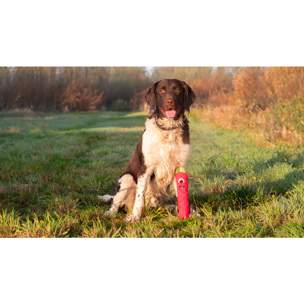 Dog Comets Invaders – mjuk hundleksak med pip & prassel