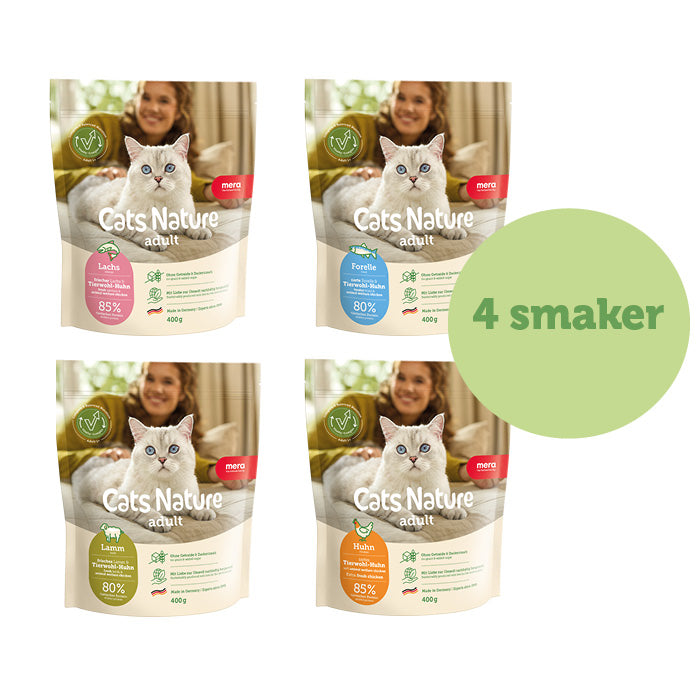 Kattens favoritmix – 4 smaker att upptäcka