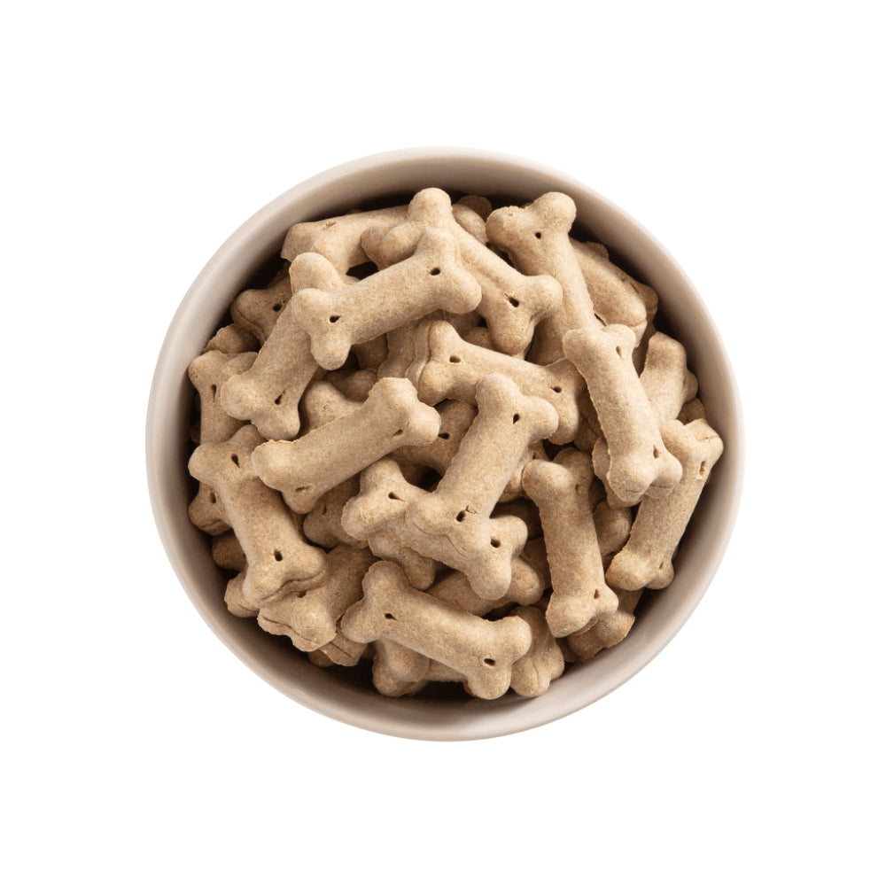 Ekonomipack 6x600g mera Goody snacks Insect Protein