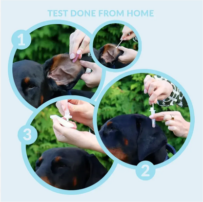 Hemmatest tidigt dräktighetstest för hund och katt - getTested