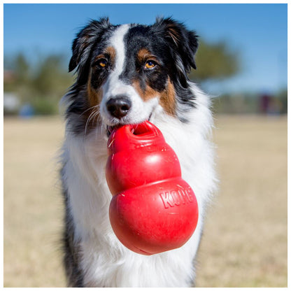 Kastleksak för hund KONG Bounzer - KONG