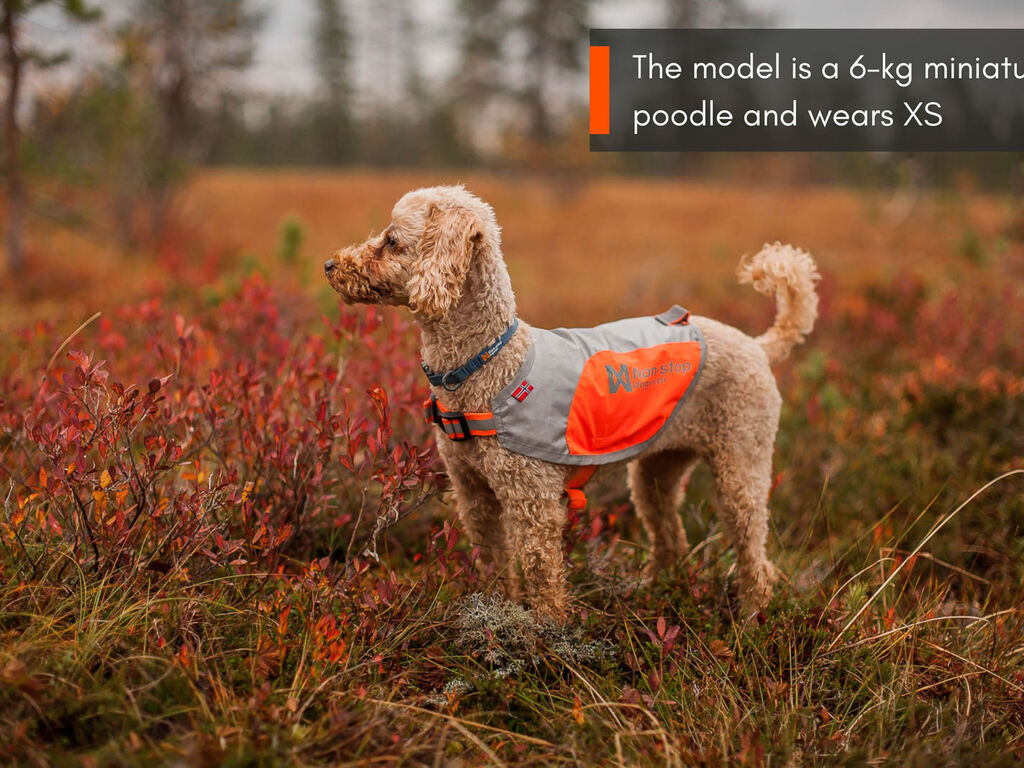 Non - stop Reflextäcke för hund - Non - stop dogwear