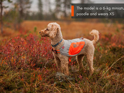 Non - stop Reflextäcke för hund - Non - stop dogwear