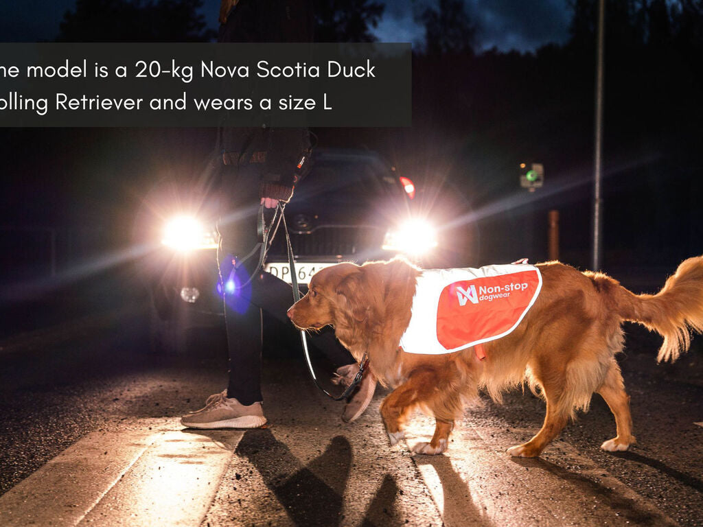 Non - stop Reflextäcke för hund - Non - stop dogwear
