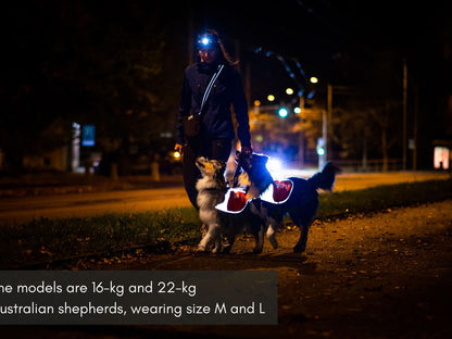 Non - stop Reflextäcke för hund - Non - stop dogwear
