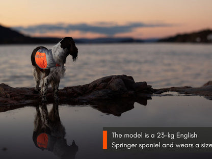 Non - stop Reflextäcke för hund - Non - stop dogwear