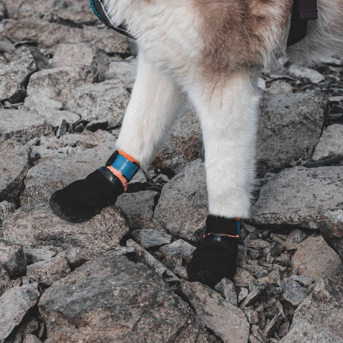 Protector Bootie - tasskydd 4 - pack - Non - stop dogwear