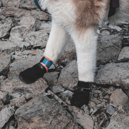 Protector Bootie - tasskydd 4 - pack - Non - stop dogwear