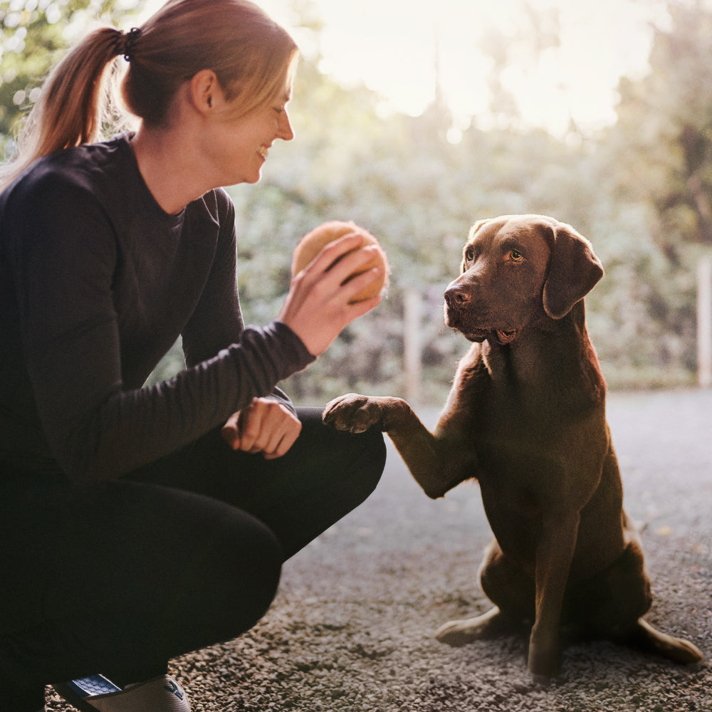 mera pure sensitive Lamm & ris - mera Petfood
