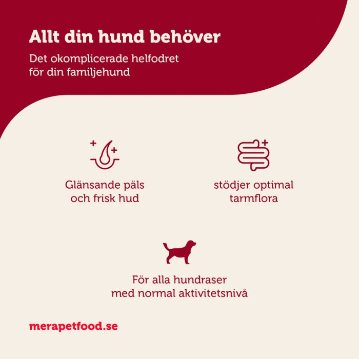 Ekonomipack 2x12,5 kg mera essential Beef - mera Petfood