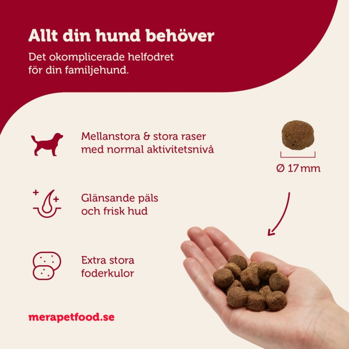 Ekonomipack 2x12,5 kg mera essential Brocken - mera Petfood