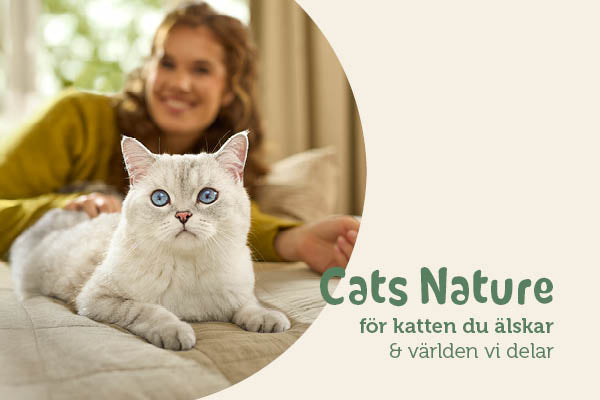 mera Cats Nature adult Salmon - mera Petfood