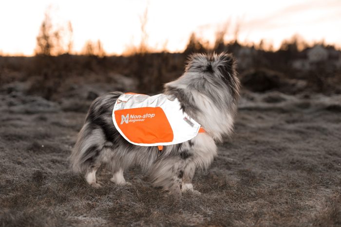 Non - stop Reflexväst - Non - stop dogwear