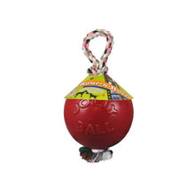 Jolly Ball Romp - n - Roll - Jolly Pets
