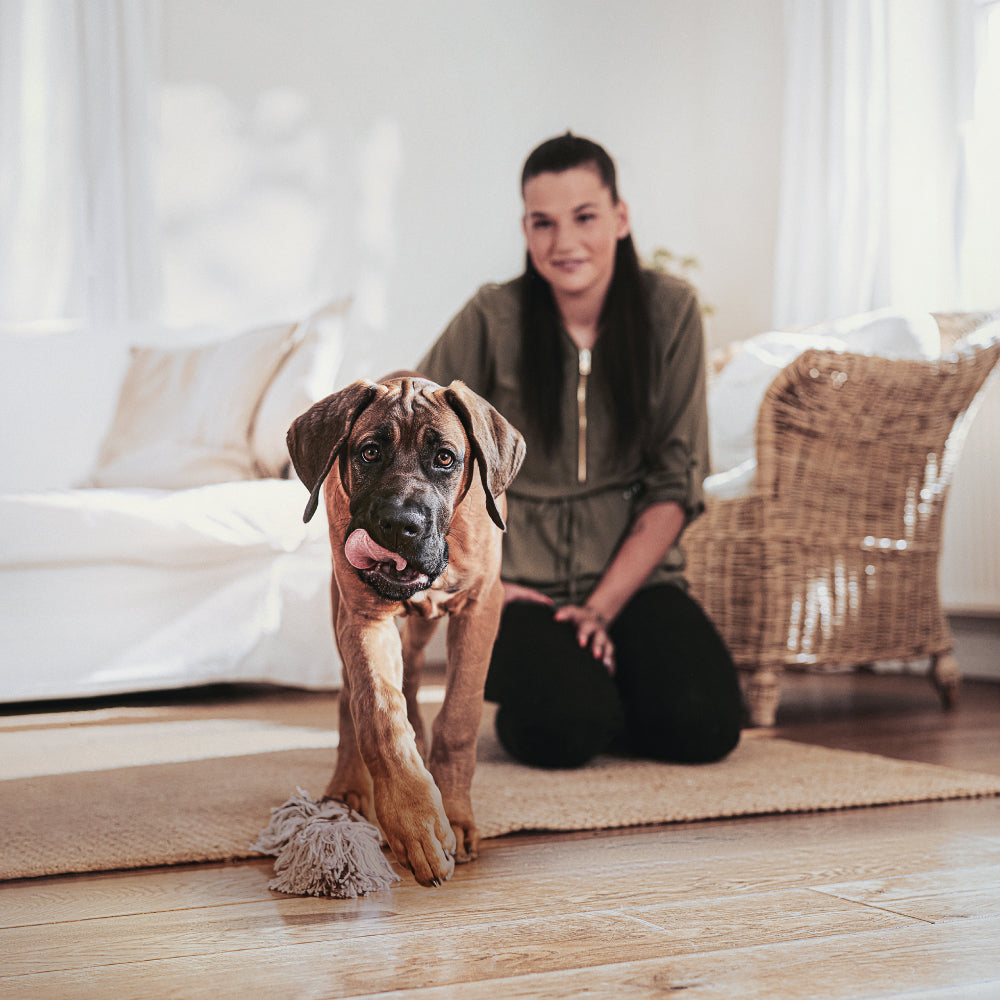 mera pure sensitive Junior Kalkon & ris - mera Petfood