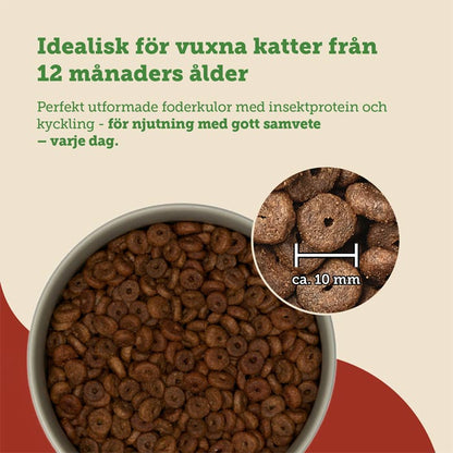 mera Cats Nature adult Insect - mera Petfood