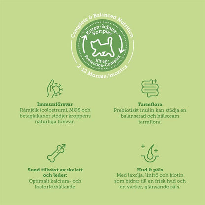 mera Cats Nature Kitten Salmon - mera Petfood