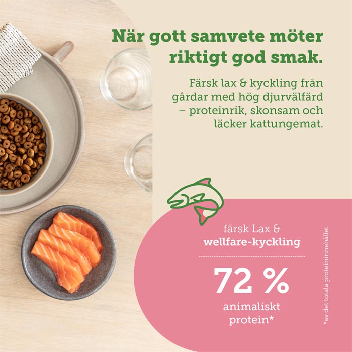 mera Cats Nature Kitten Salmon - mera Petfood