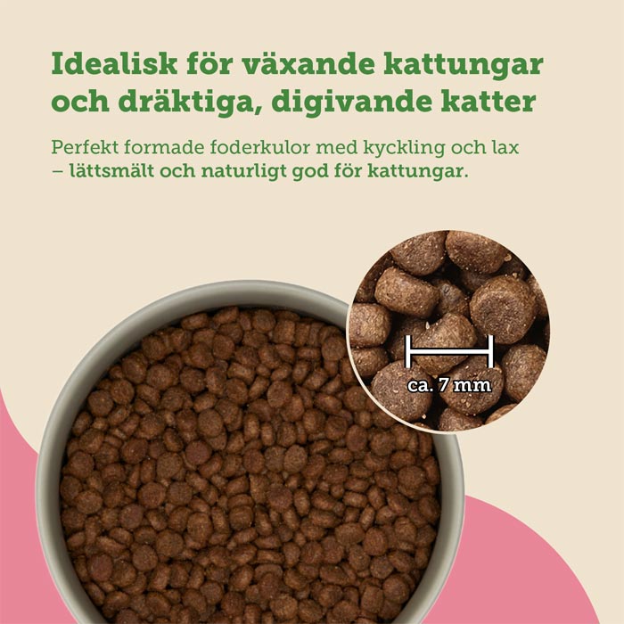 mera Cats Nature Kitten Salmon - mera Petfood