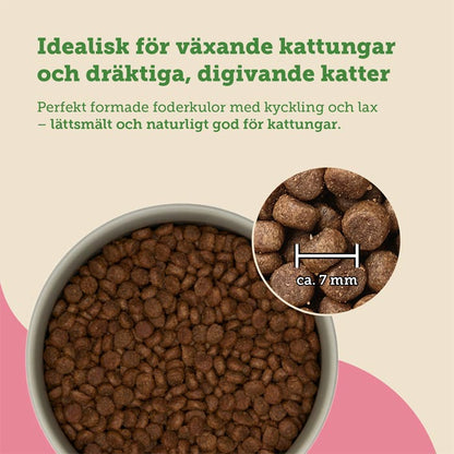 mera Cats Nature Kitten Salmon - mera Petfood