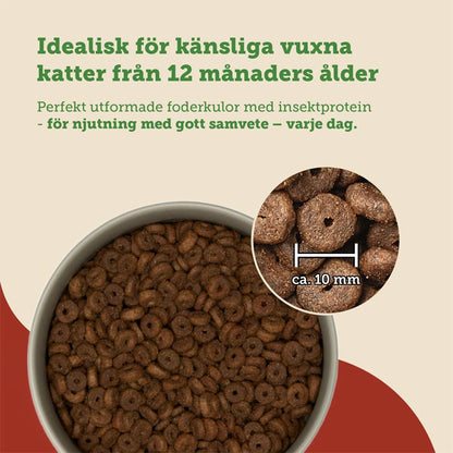 mera Cats Nature sensitive Insect mono - protein - mera Petfood