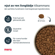 mera pure sensitive Insect protein - mera Petfood
