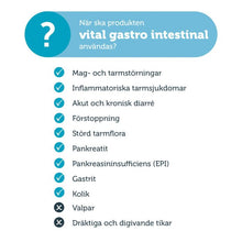 HUND mera vital Gastro Intestinal - mera Petfood