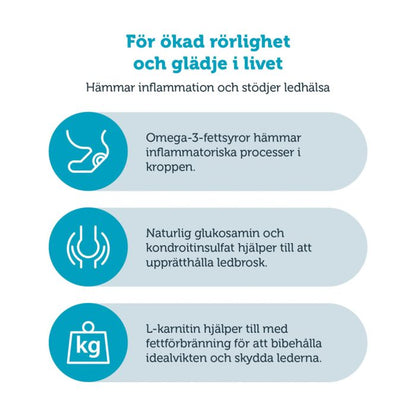 HUND mera vital Mobility - mera Petfood