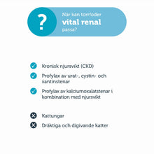 KATT vital Renal, 3 kg - mera Petfood