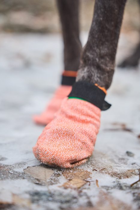 Non - stop Protector light socks 4 - pack - Non - stop dogwear
