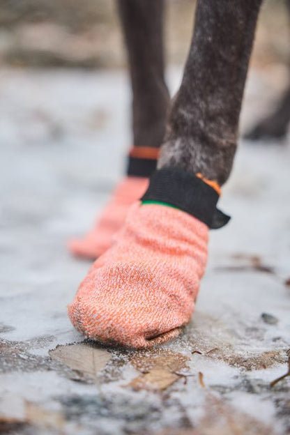 Non - stop Protector light socks 4 - pack - Non - stop dogwear