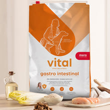 HUND mera vital Gastro Intestinal - mera Petfood